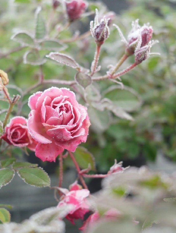 心理学缺爱的女生表现,缺爱的女生在恋爱中的表现