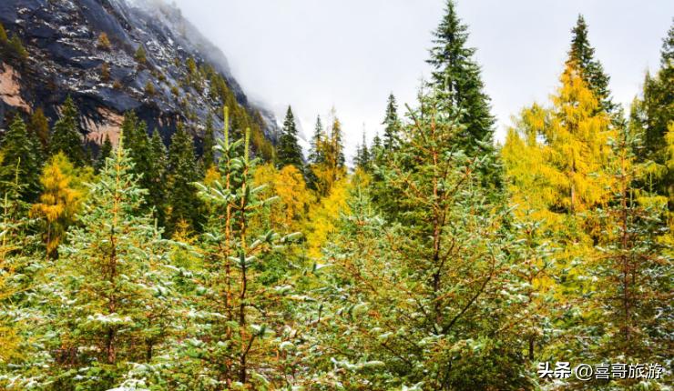 小金县自驾游,四川阿坝小金县旅游景点