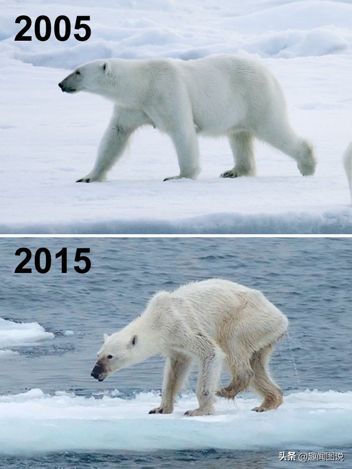 风靡美国的柠檬杯胸罩，印度*队军**的大象战机，36张图看世界