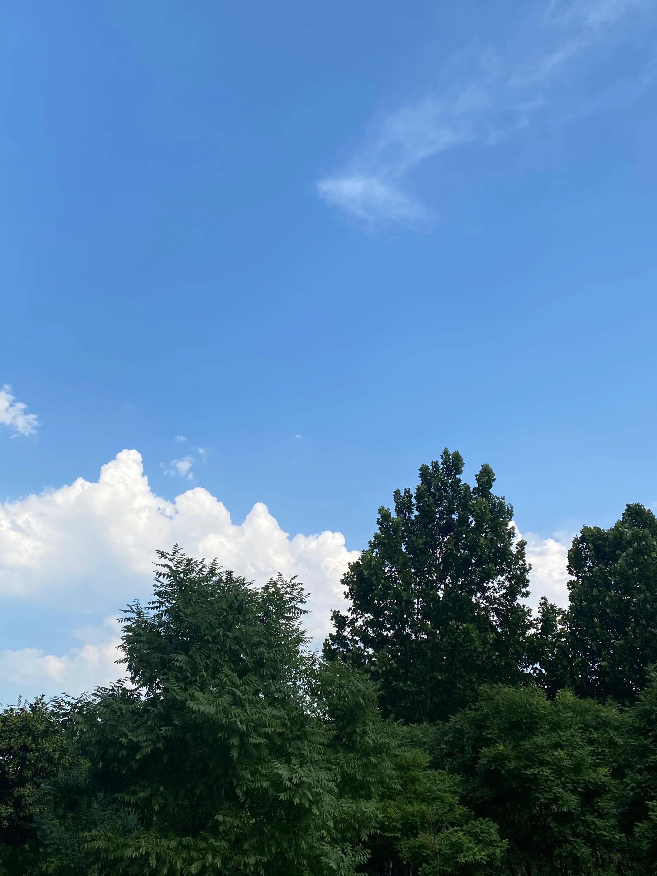 同事怀孕后一直请假我离职了,同事怀孕一直请病假