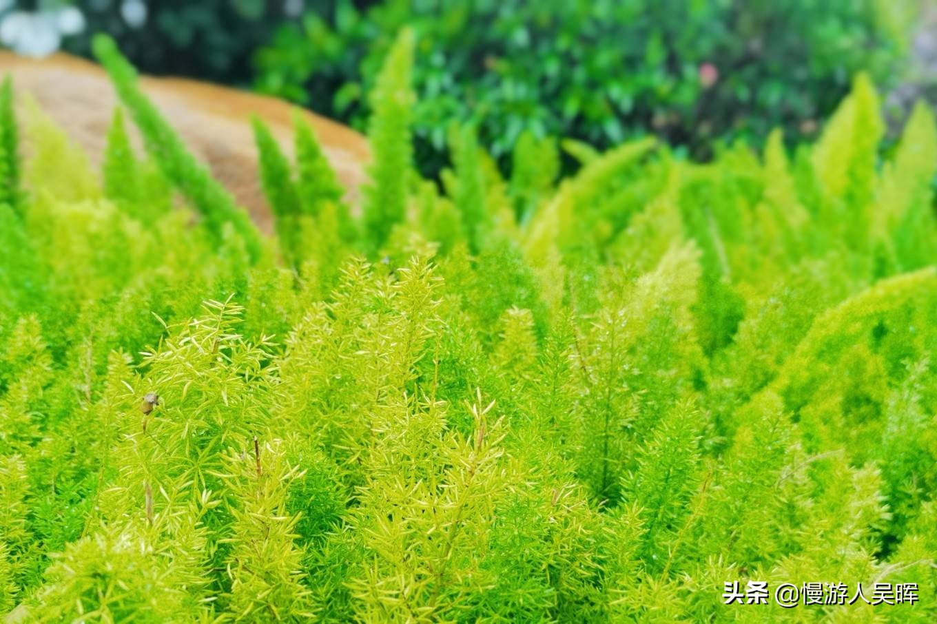 海南环岛游攻略详细行程,海南东线环岛游攻略自由行