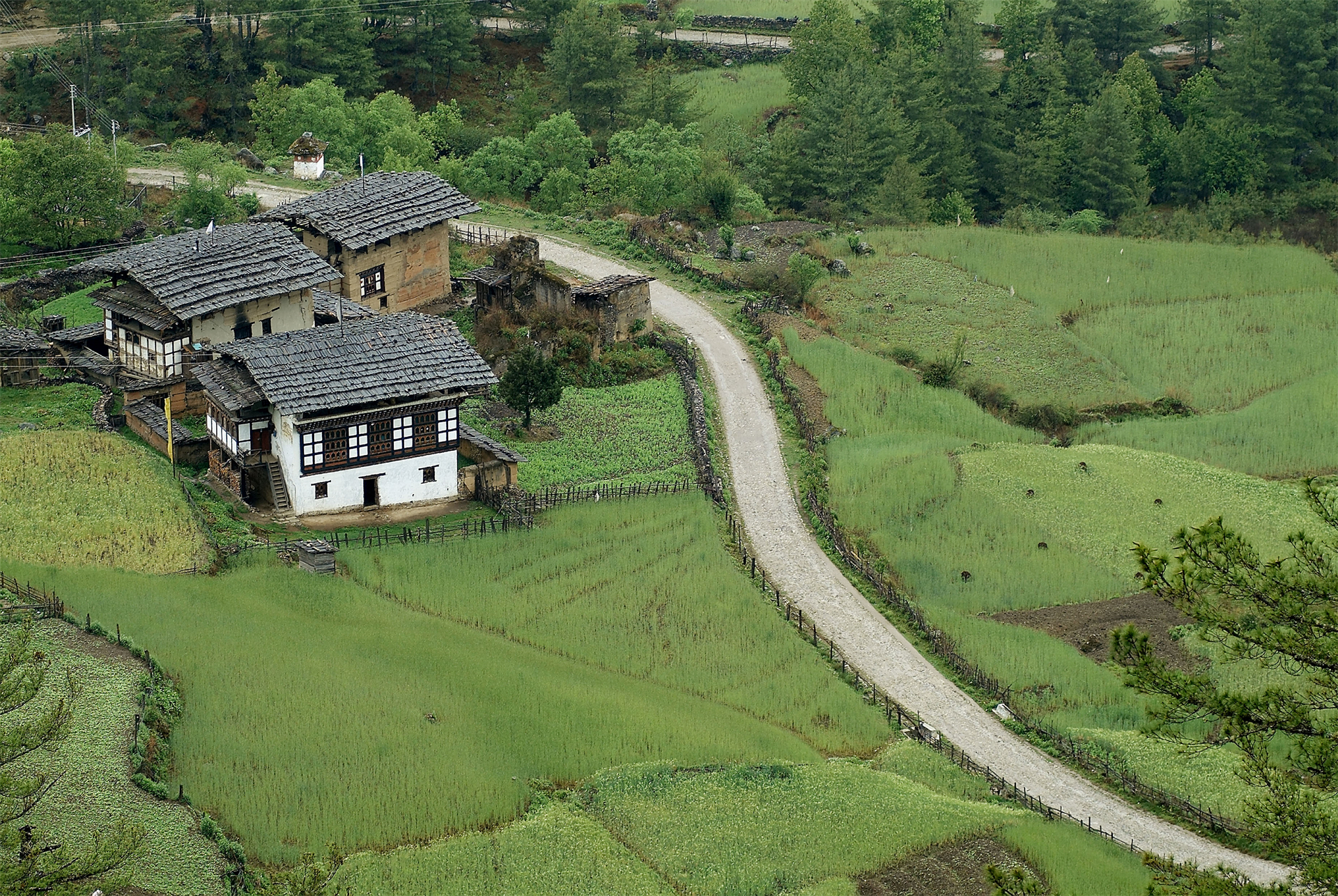 神秘国度不丹,神秘王国不丹视频