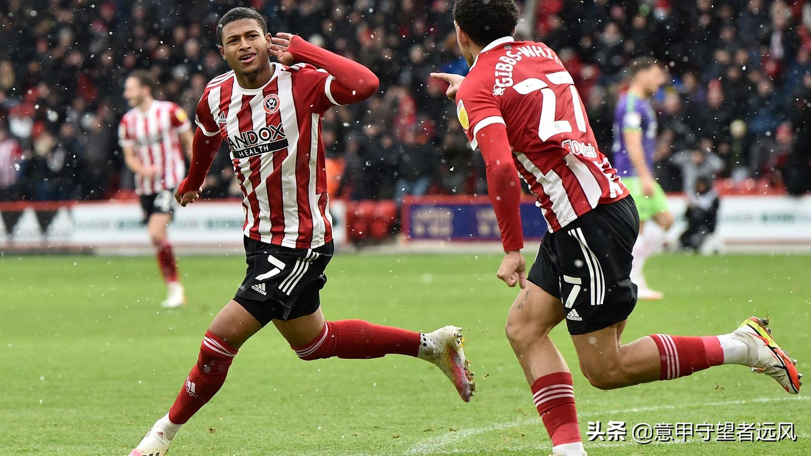 英冠联赛赛事解析富勒姆vs雷丁,英冠第20轮