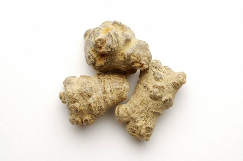 浜戠ぜ鑼跺彾,浜戠ぜ