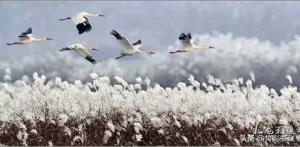 青峰杂谈：人一生的四重自由，世人全得之者有几？