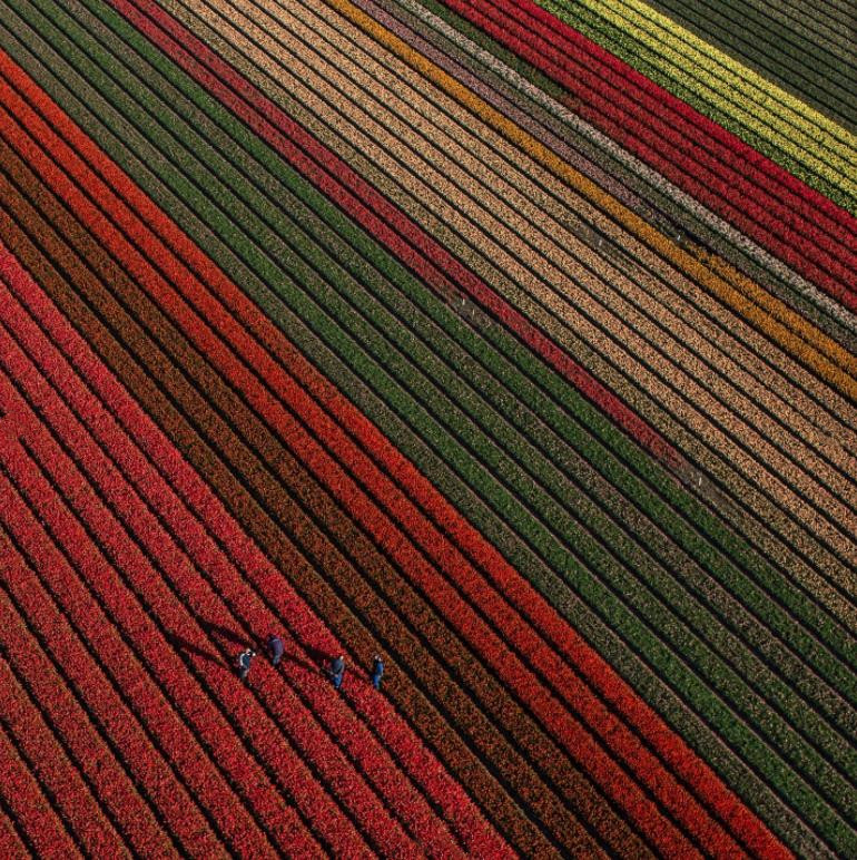 墨西哥农妇用菜刀自行剖腹产,墨西哥产妇照片