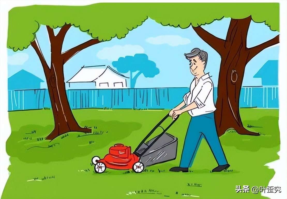 物业损坏园林怎么办,物业小区绿化设施损坏由谁负责