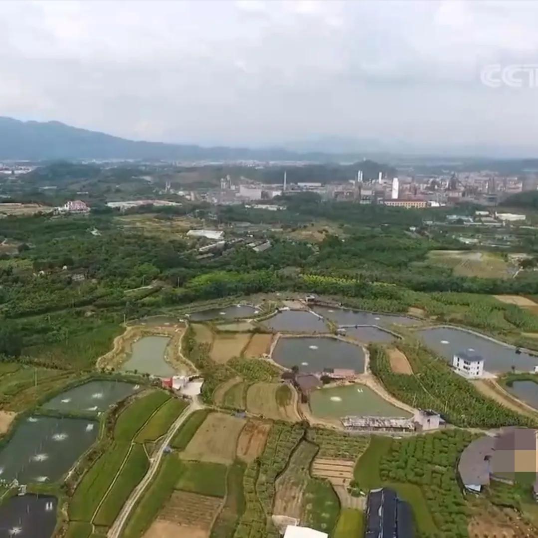 90后小伙承包15亩果园,湖南小伙承包五千亩四年赚上千万