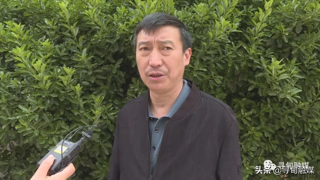 七星镇：烤烟移栽奏响烟农增收“前奏曲”