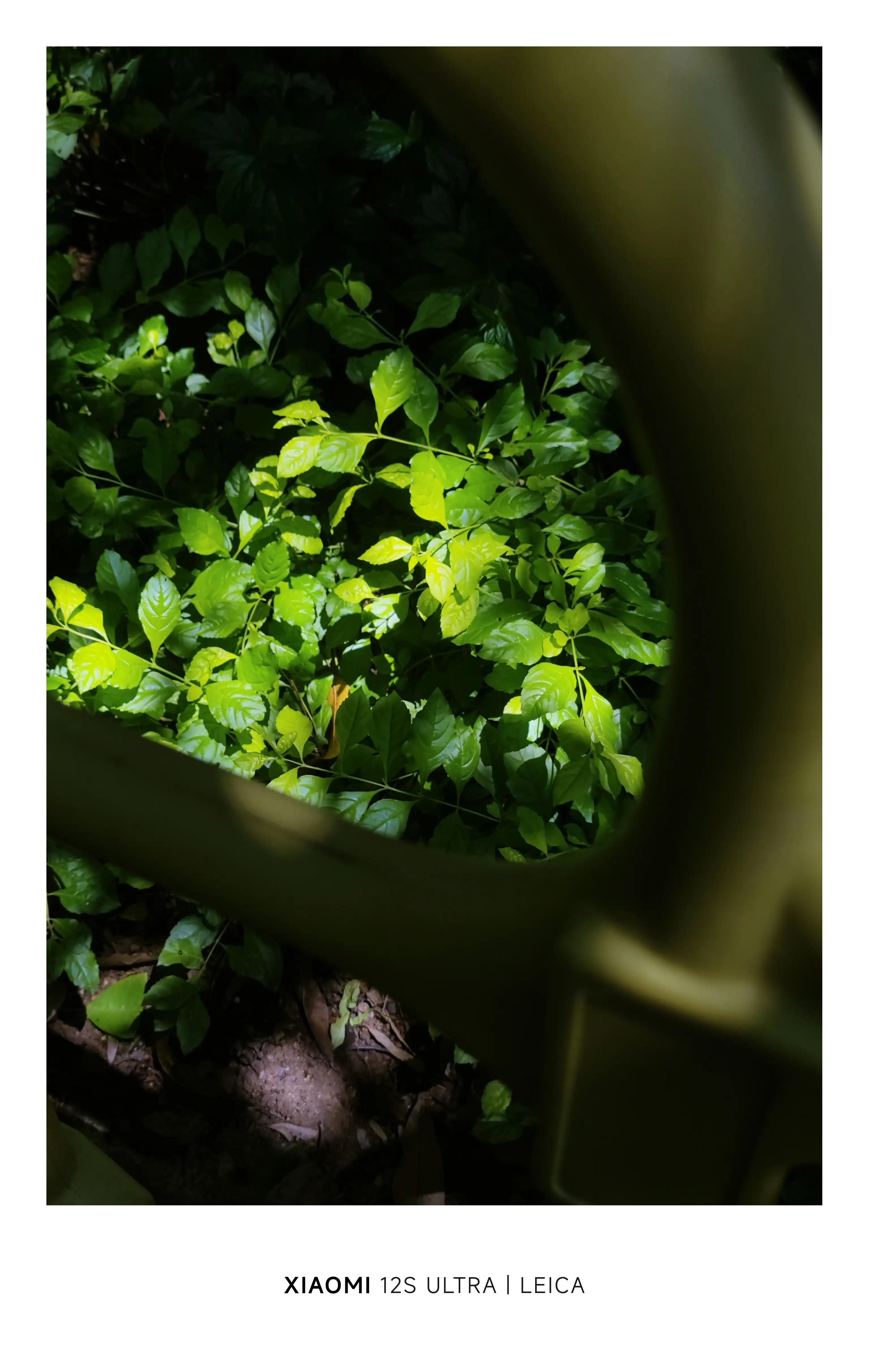 厦门六月微笑口腔靠谱吗,厦门六月能下海吗