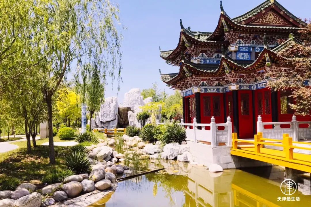 阳性+6例！蓟州这些场所开放！但为嘛我劝你，周末一定去趟武清区