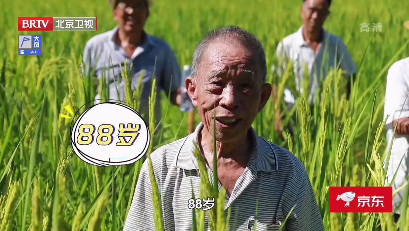 枸杞子煮鸡蛋真能补肾,枸杞炖鸡蛋补肾