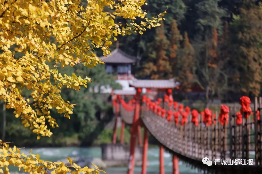 抓住秋天的尾巴！都江堰必打卡的8大晚秋好去处，步青山观烟岚云岫、入古城拾千年烟火，来过都会爱上
