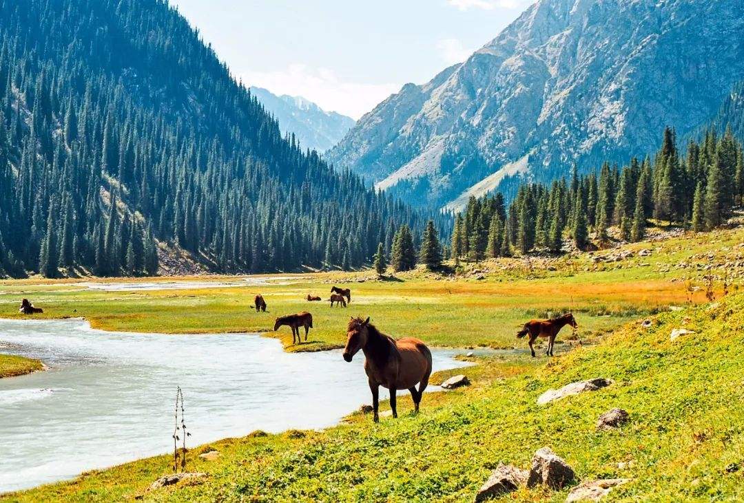 吉尔吉斯斯坦为什么称为腐败之国,吉尔吉斯斯坦是不是好国家