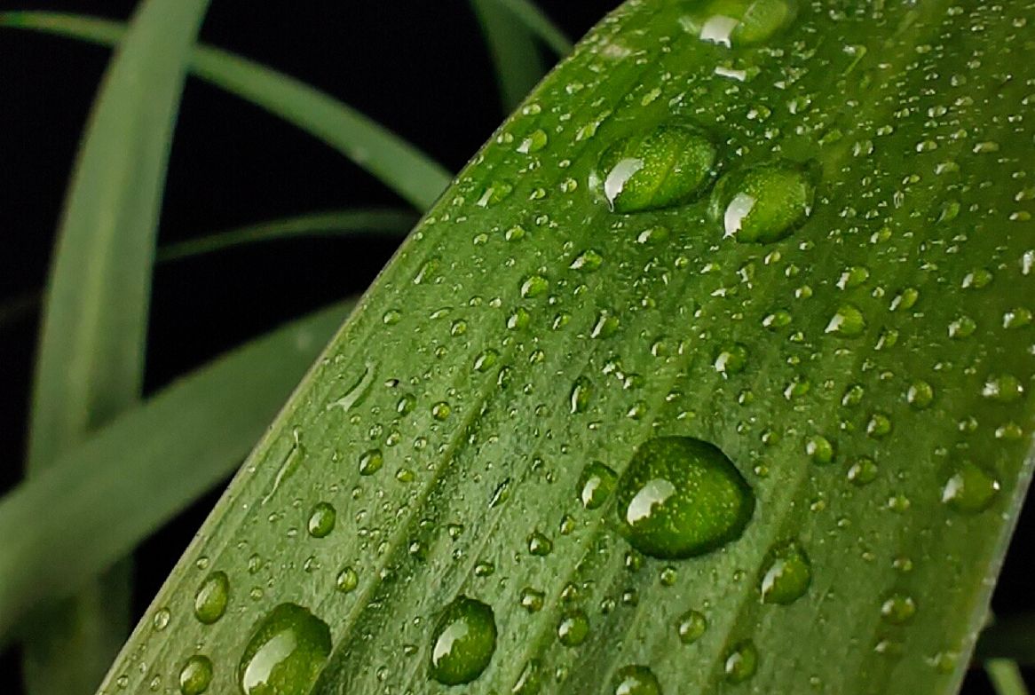 6000毫安电池双扬声器5g手机,5000mah大电池平价手机推荐