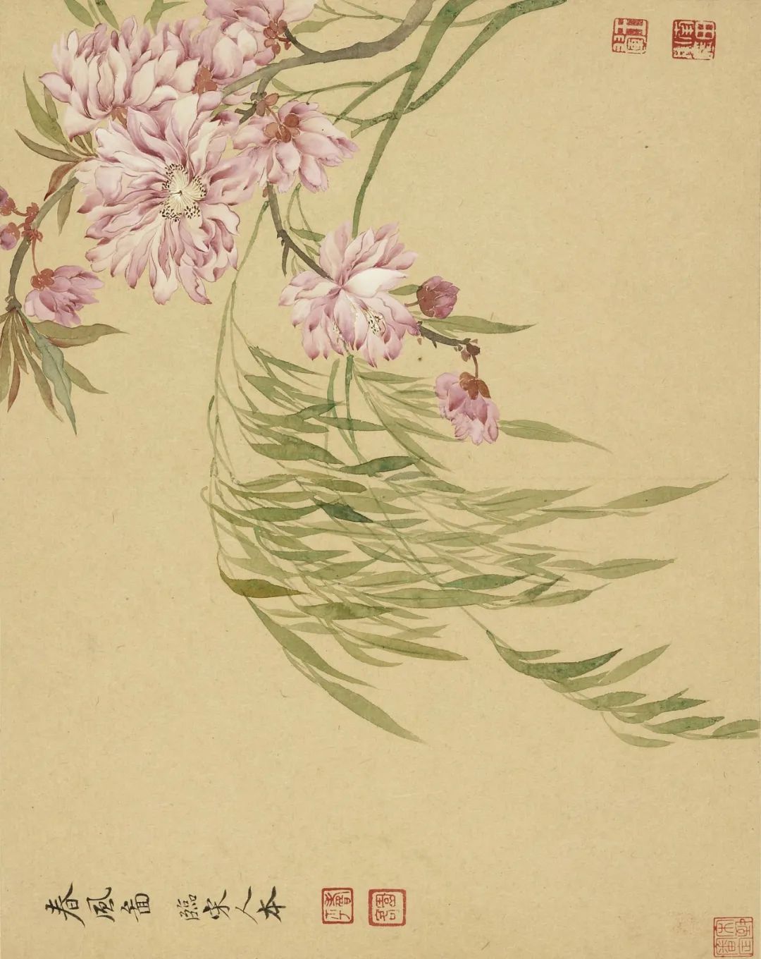 慕容看世界的视频,慕容看世界所有视频