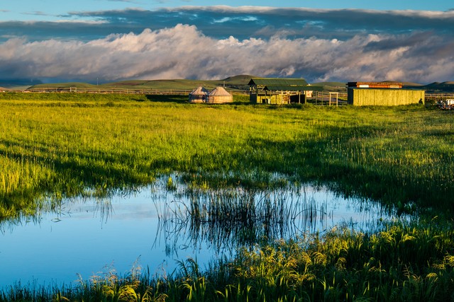 坝上草原真的适合避暑吗,坝上草原旅游详细攻略