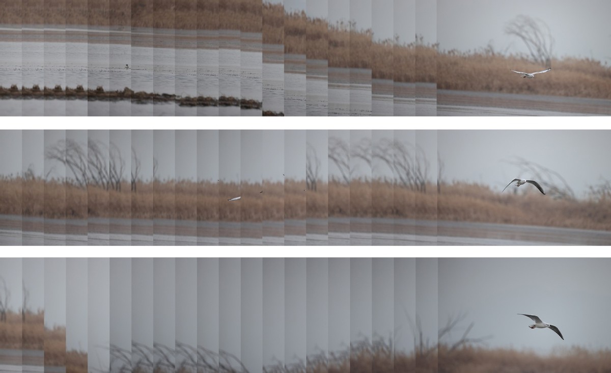 持续读写再升级至誉NITRO系列CFexpressTypeB存储卡评测