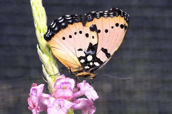 一个人的态度可以看出一个人人品,在一起时看爱情分开看人品