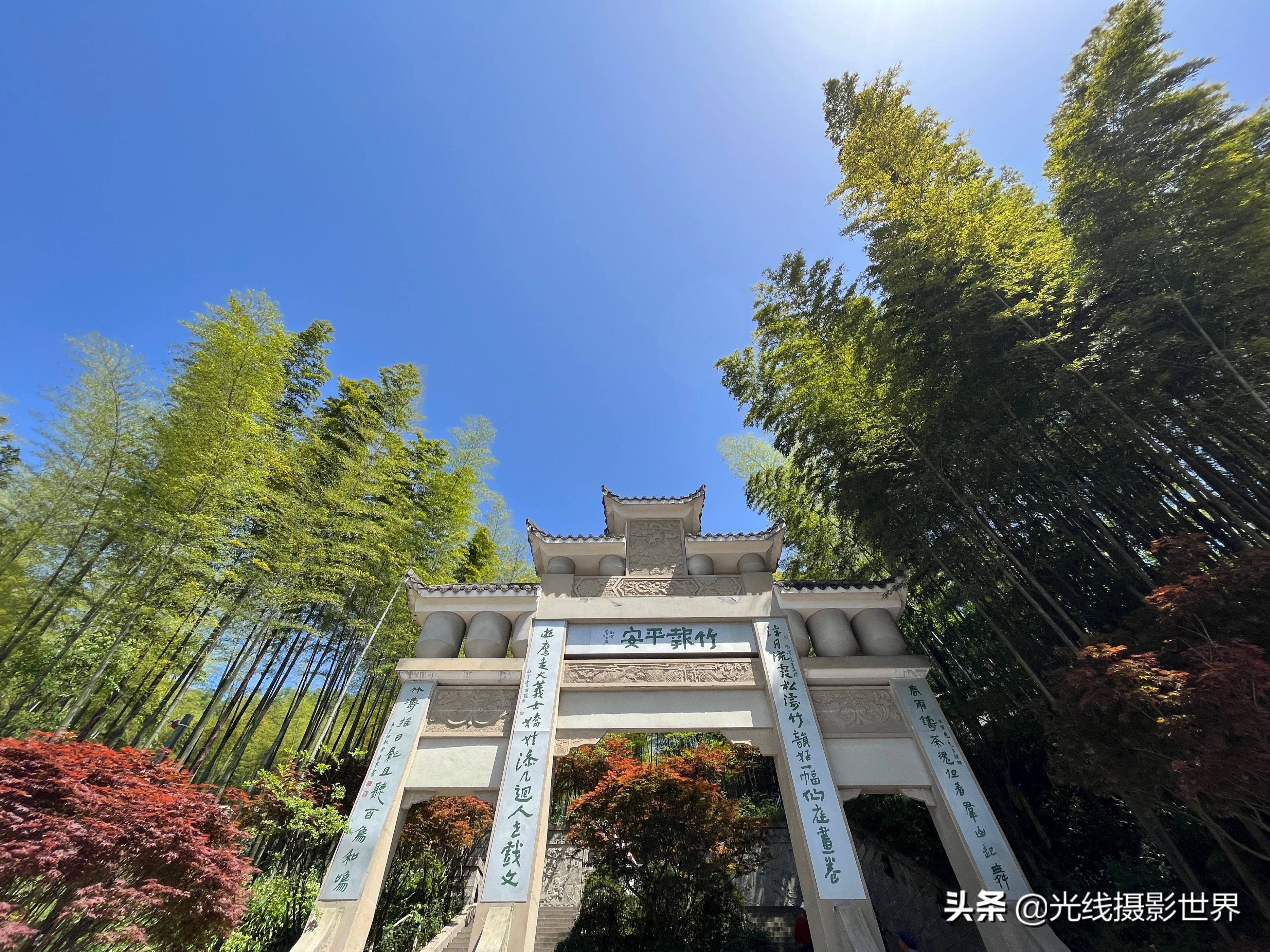 永川茶山竹海今年国庆免门票吗,2022国庆节永川茶山竹海攻略