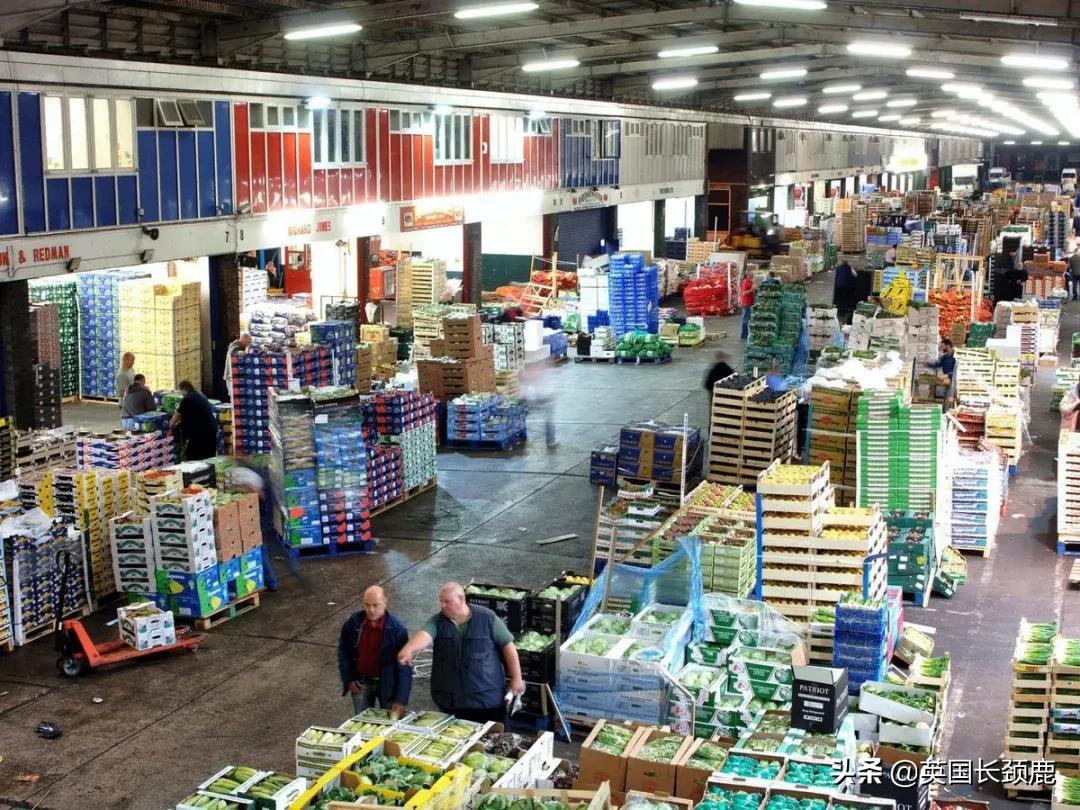 在伦敦哪里买新鲜的海鲜,伦敦海鲜市场买什么海鲜