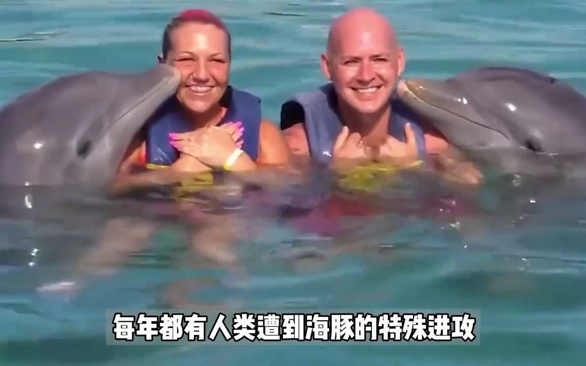 偷猎动物有多残忍,动物也会外遇