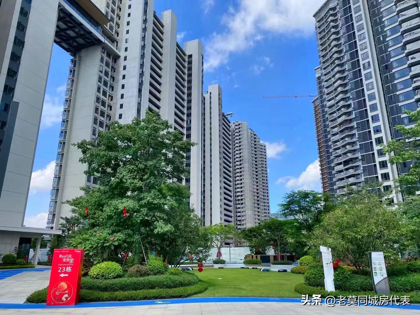 保利房子首付98万,保利资金链问题