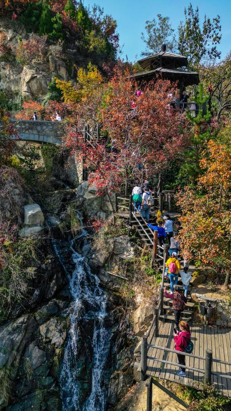 济南元素再一次火爆“出圈”！省长推介的诗意济南是什么样子的？