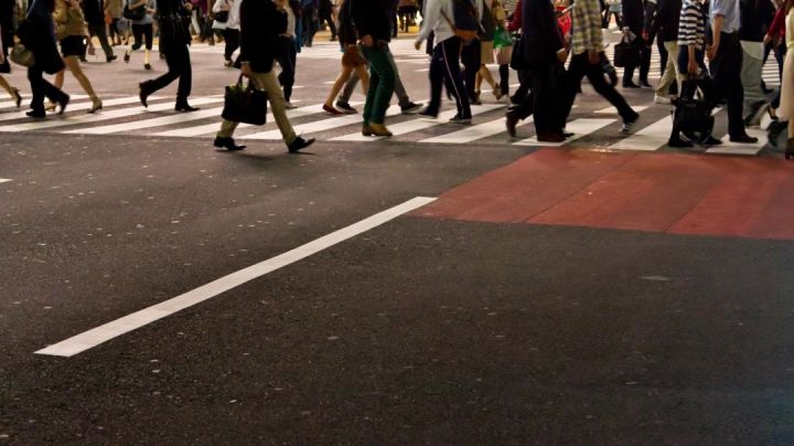 前程无忧招聘网靠谱吗,智联招聘和前程无忧哪个靠谱