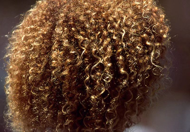 世界杯历史完整排名表图片大全,世界杯名场面经典回顾图片