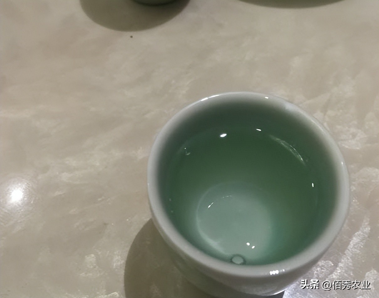 洋河酒天之蓝和梦之蓝哪个贵,洋河梦之蓝与同档次的酒对比