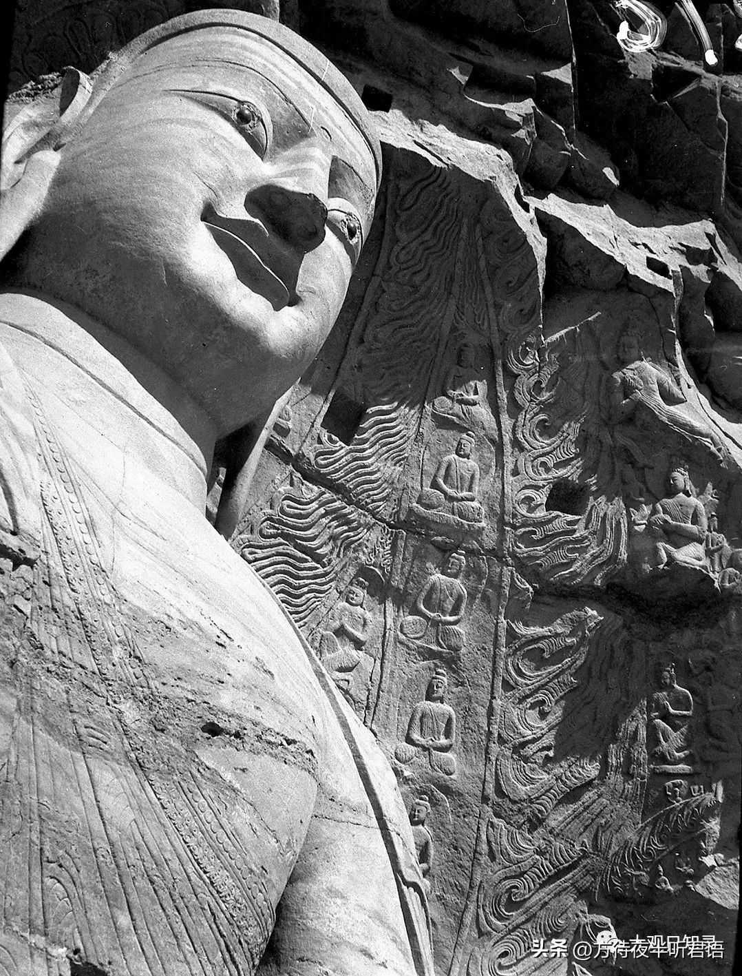 万里追踪纪录片完整版,1937年万里猎影记