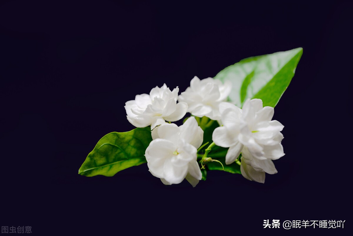 过度在意别人对自己的在乎,别总在意别人的感受而委屈了自己