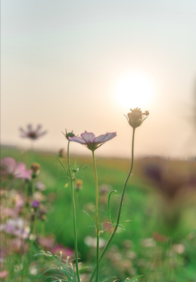 和老公过不下去应该和父母说吗,跟老公过不下去了还要孩子吗