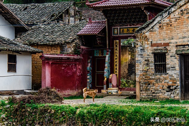 美丽乡村绘画,美丽乡村1-45集免费