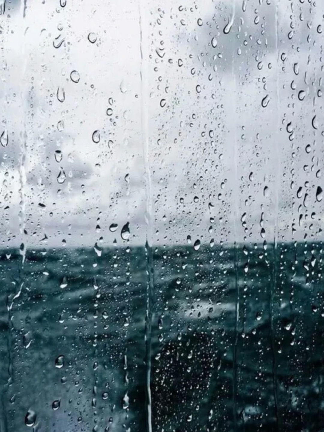 下雨天毛巾发霉了怎么办,雨季救星