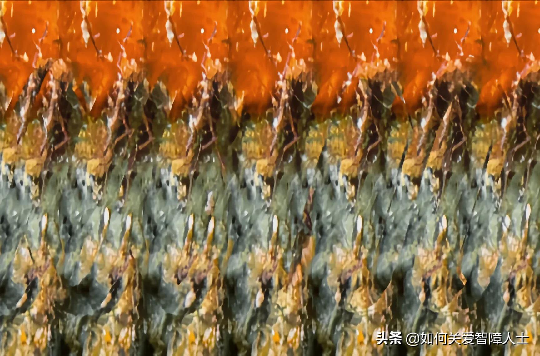 新手怎么看三维立体图,新手看三维立体图的方法