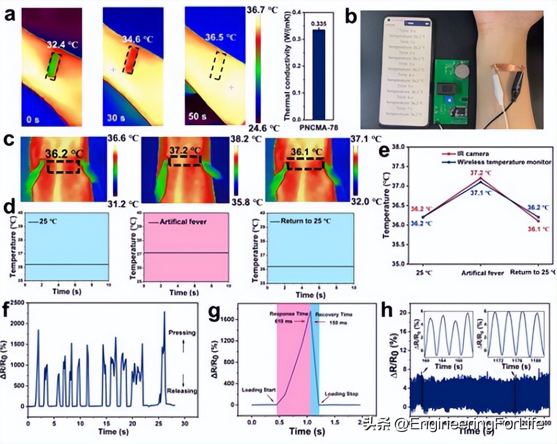 性能出色的深共晶凝胶！可作为超灵敏柔性温度传感器！