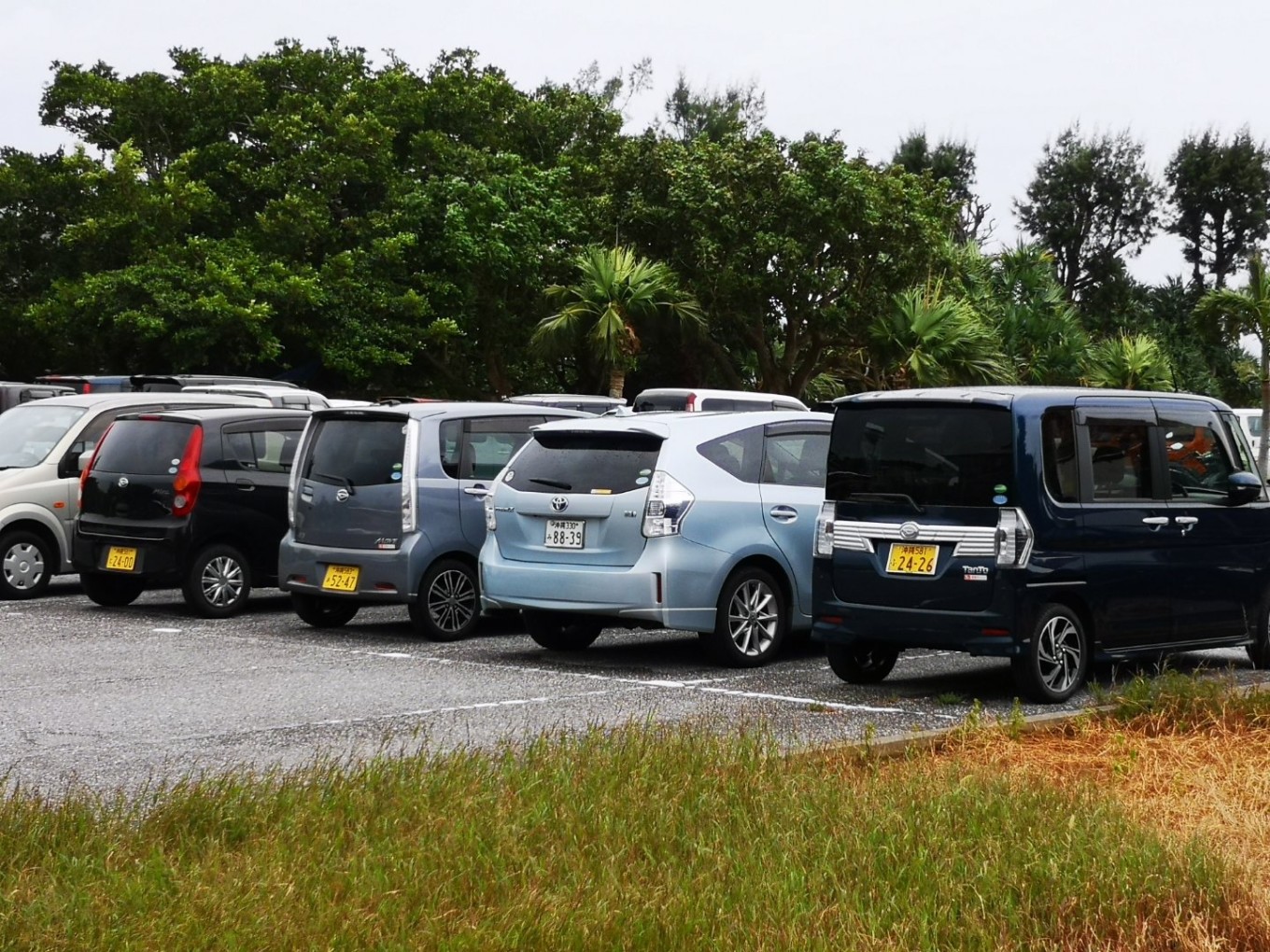 暑期档2019年,2019年暑期档