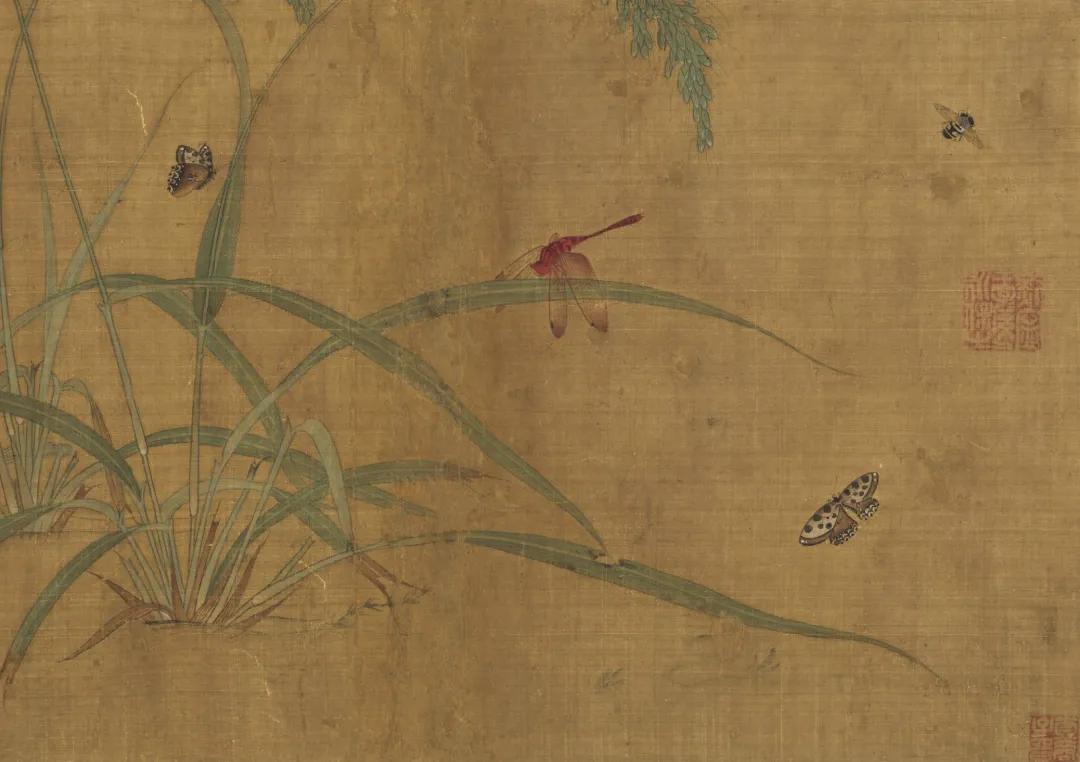 每种蝴蝶的寓意和象征,院里飞来一只黑花蝴蝶什么寓意