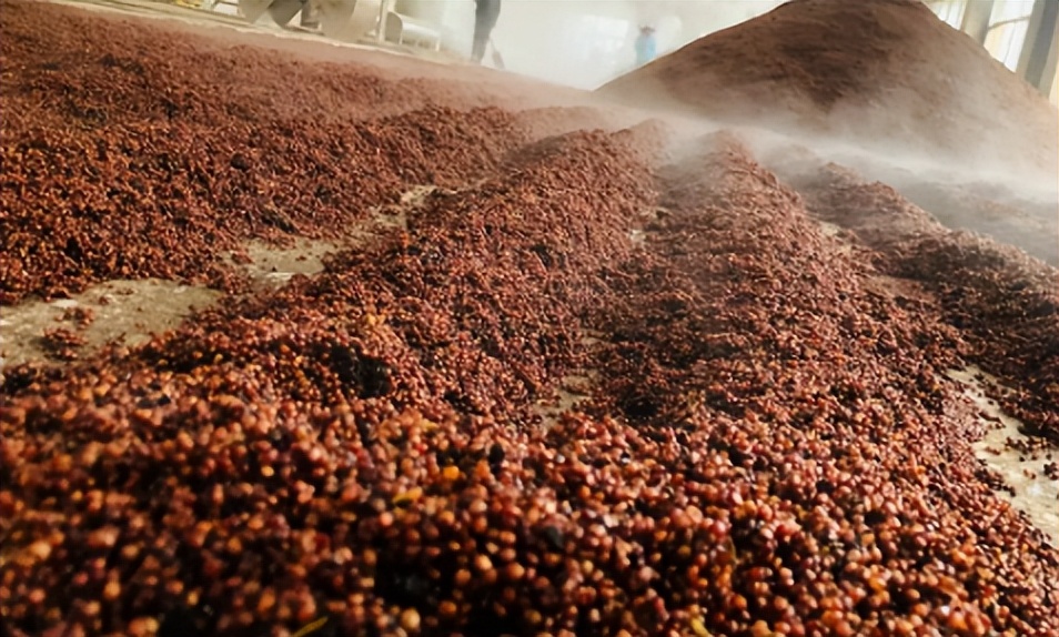 洋河蓝色经典海之蓝怎样,洋河蓝色经典天之蓝海之蓝区别