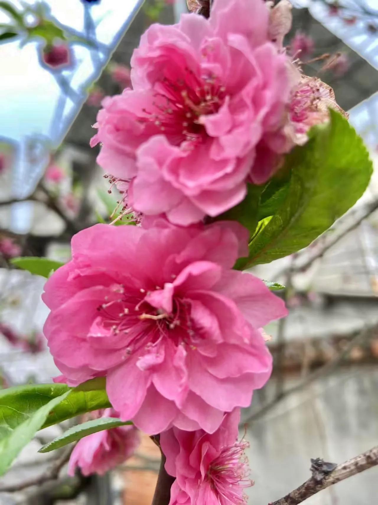 蒲江这座小城,四川成都蒲江县风景区
