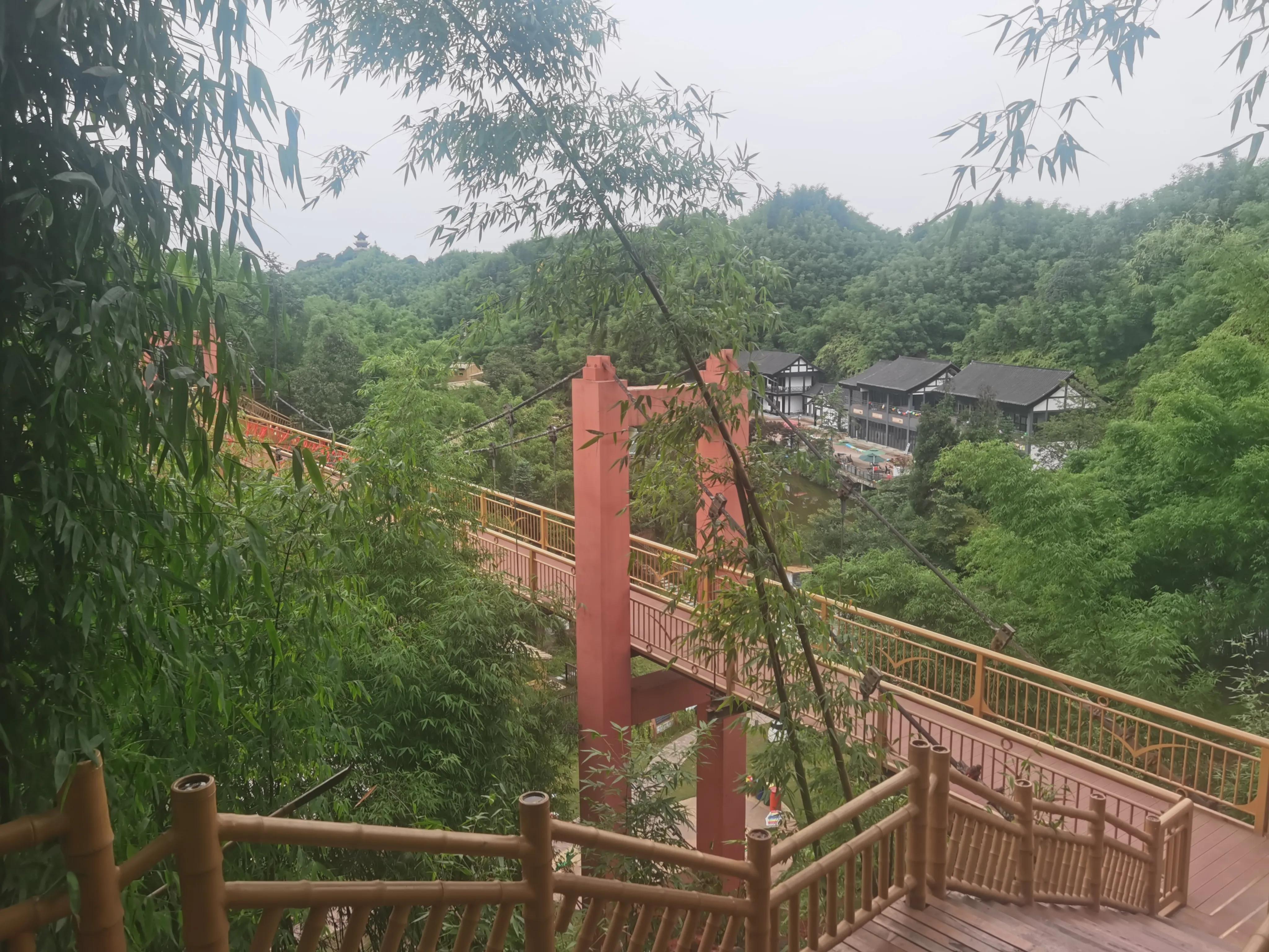 端午游竹园风景,端午节去轿子山赏杜鹃花海