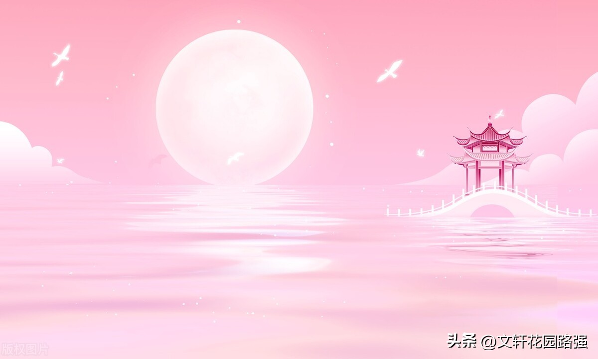 关于中秋节的古诗及其背景和诗意,中秋节诗句鉴赏大全