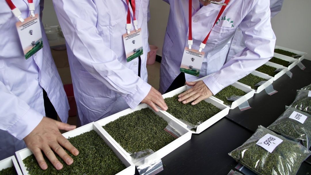 2024茶叶评选,2023年中国茶叶排名前十名