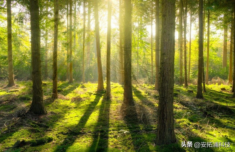 小米空气净化器ac-m1-ca使用教程,飞利浦空气净化器ac4374使用教程