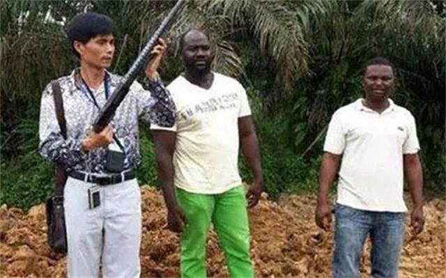 广西“上林帮”非洲淘金：每天如刀尖舔血，常备200克金子保命