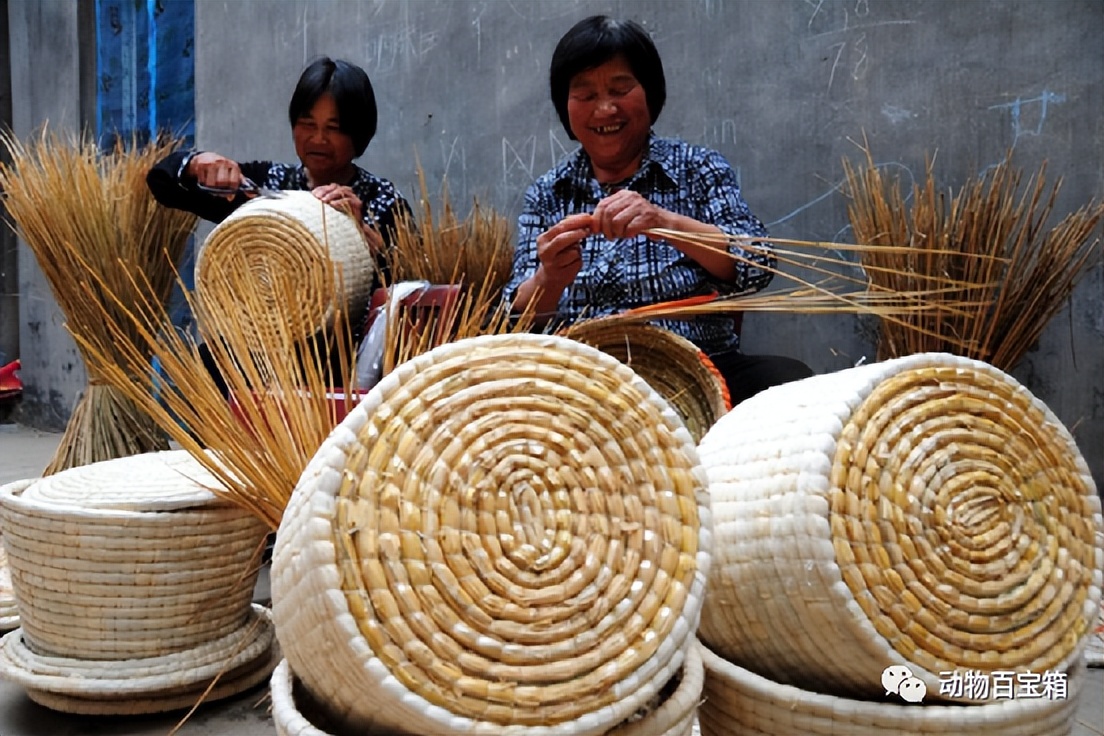 集市上卖的现割牛皮带,集市上现割牛皮带批发
