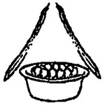 汉字溯源网站,汉字溯源象形字