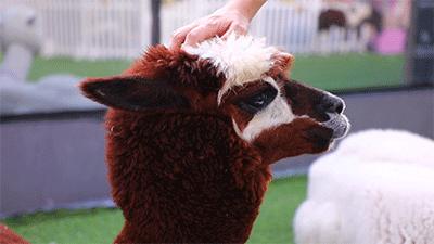 抓紧享受假期的尾巴,抓住假期小尾巴愉快的五一假期